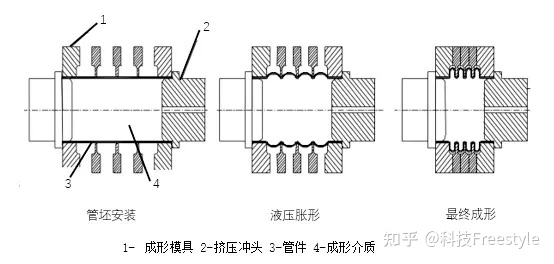 v2-5074a3b7cae60c3243330181a5135592_720w